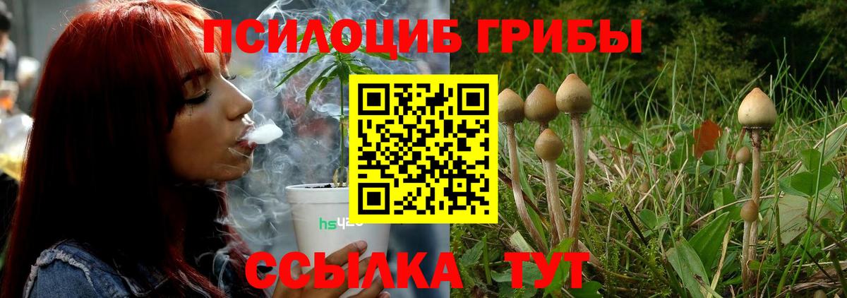 Благодарный  Псилоцибиновые грибы Psilocybe  Вход с VPN 