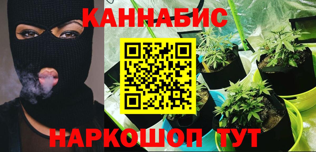 Бошки марихуана SATIVA & INDICA Благодарный